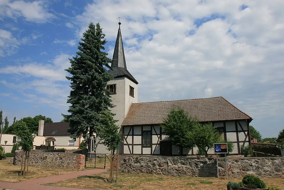 Obrázok: Asio otus · CC BY-SA 3.0 Wenddorf