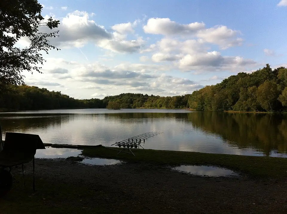 Medieval deerpark and other archaeological remains in Sutton Park