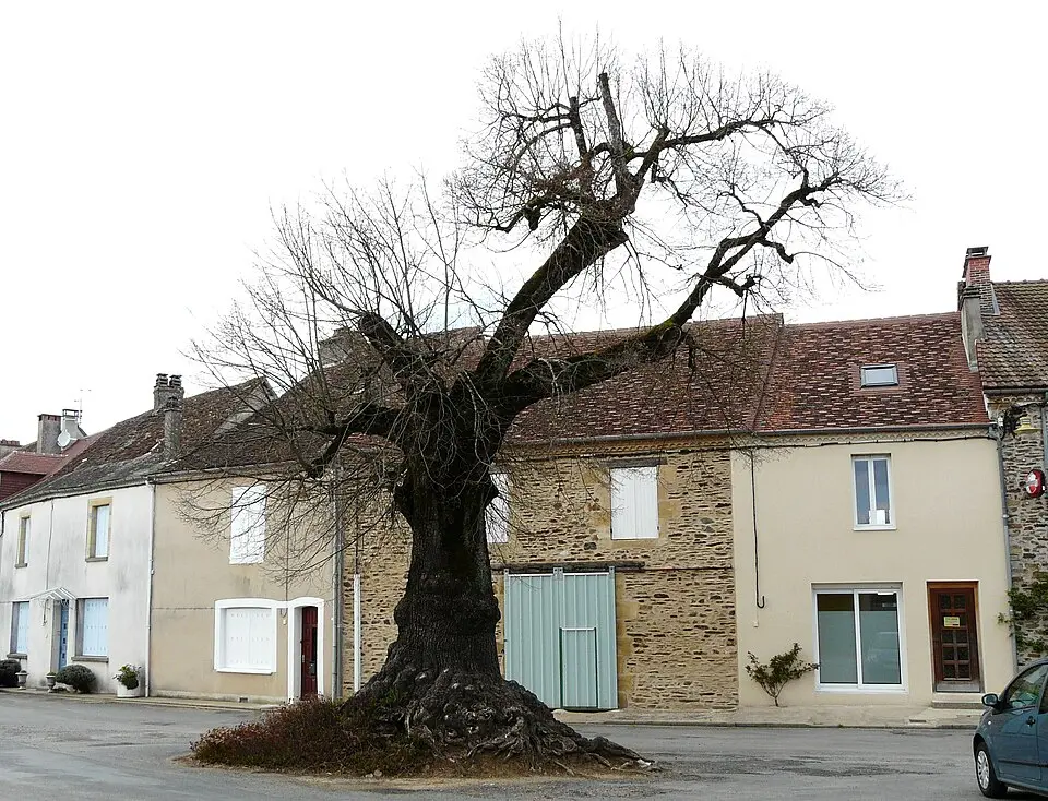 Bild: Père Igor · CC BY-SA 3.0 Angoisse