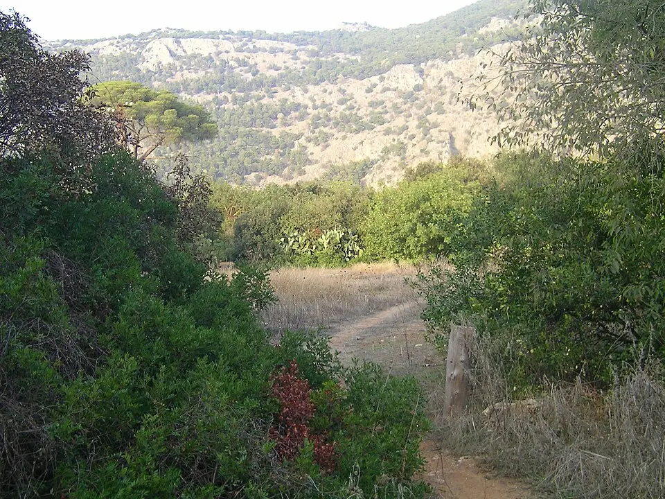 parco della Favorita