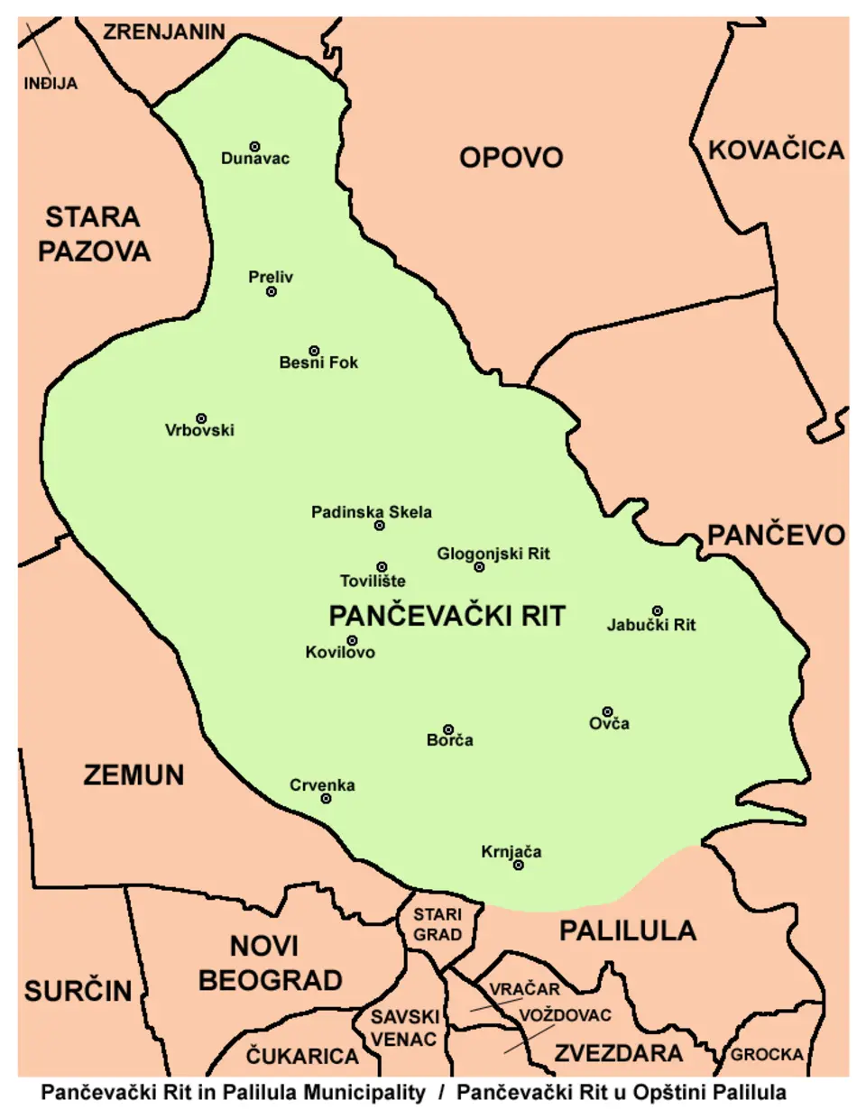 Pančevački Rit