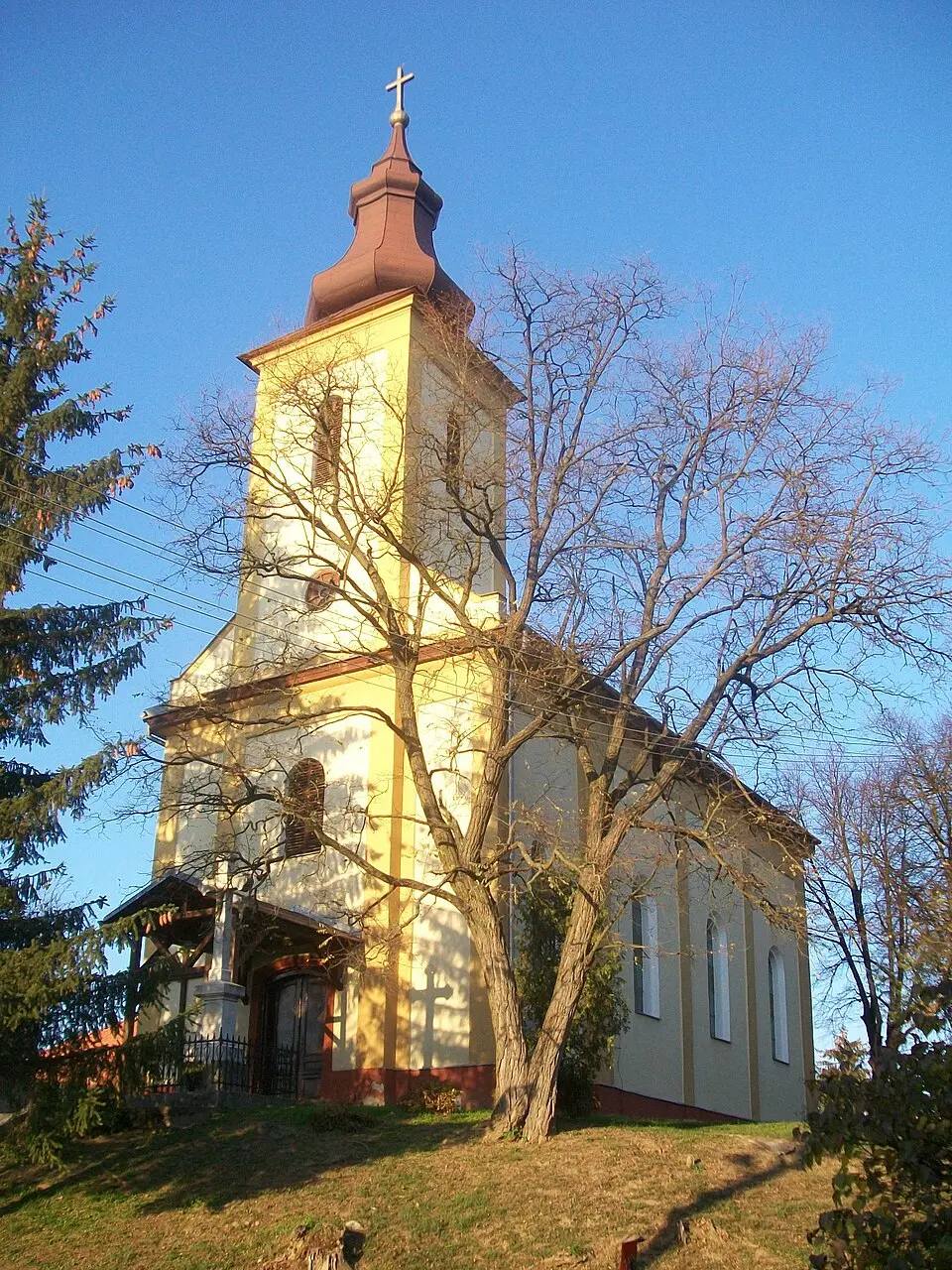 Panické Dravce