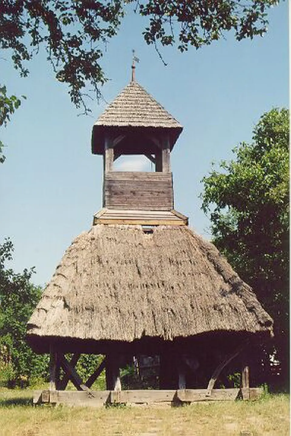 Pankasz