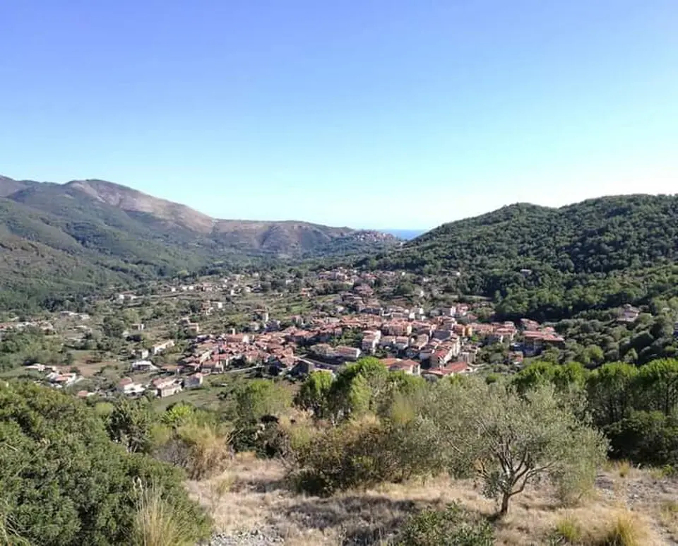 Licusati