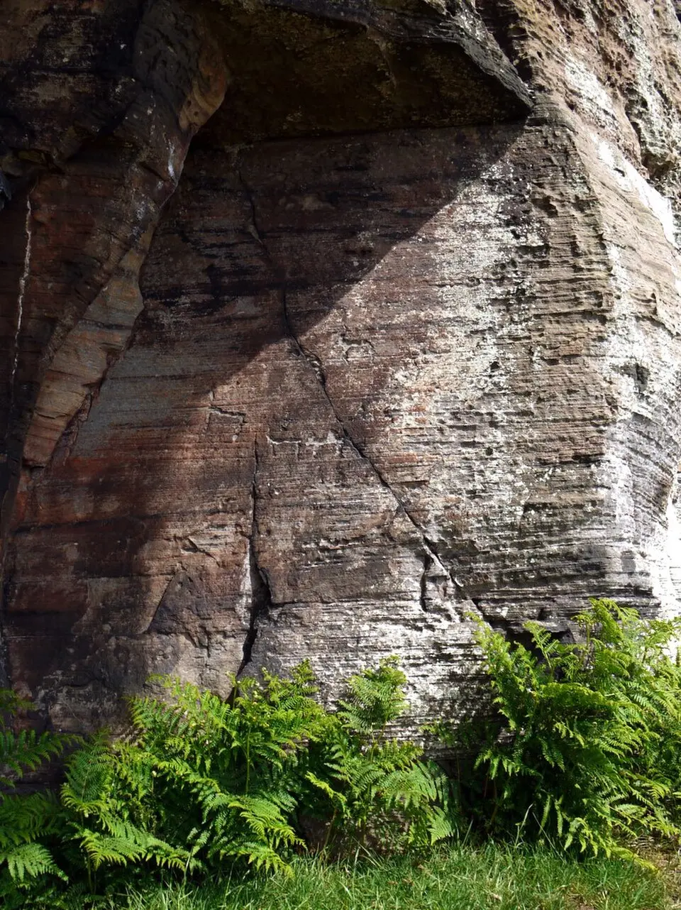 Rock art including four animal carvings at Goatscrag rock shelter, 155m north west of Routin Lynn