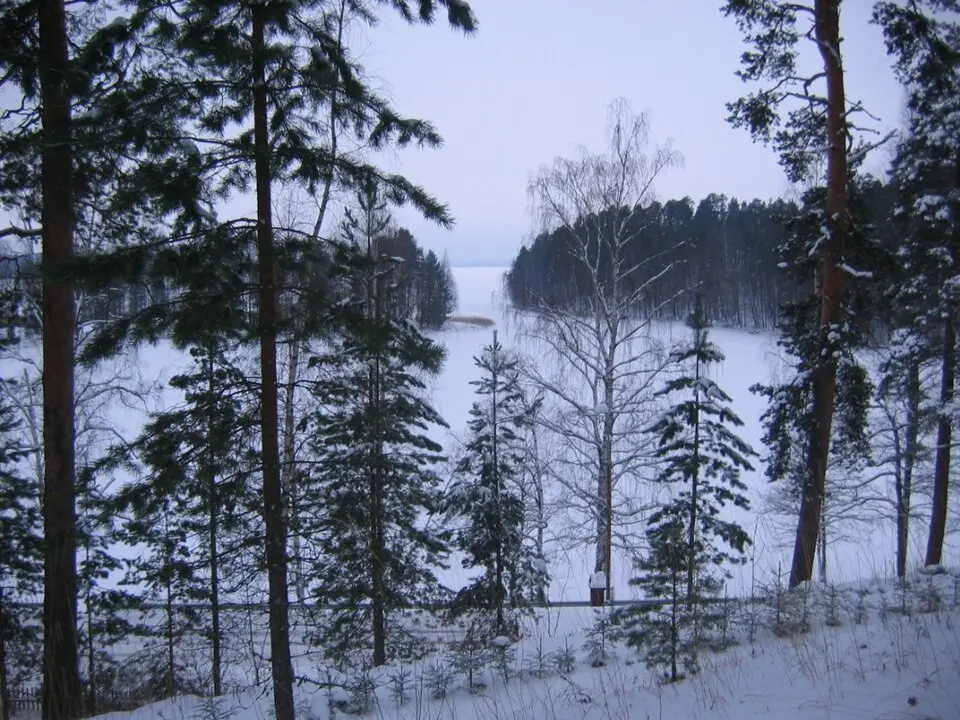 Simpelejärvi