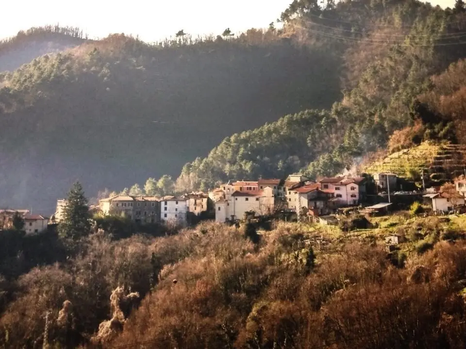 Noceto