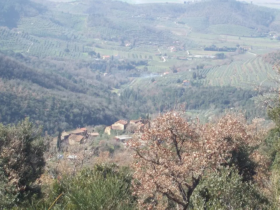 Ristonchia