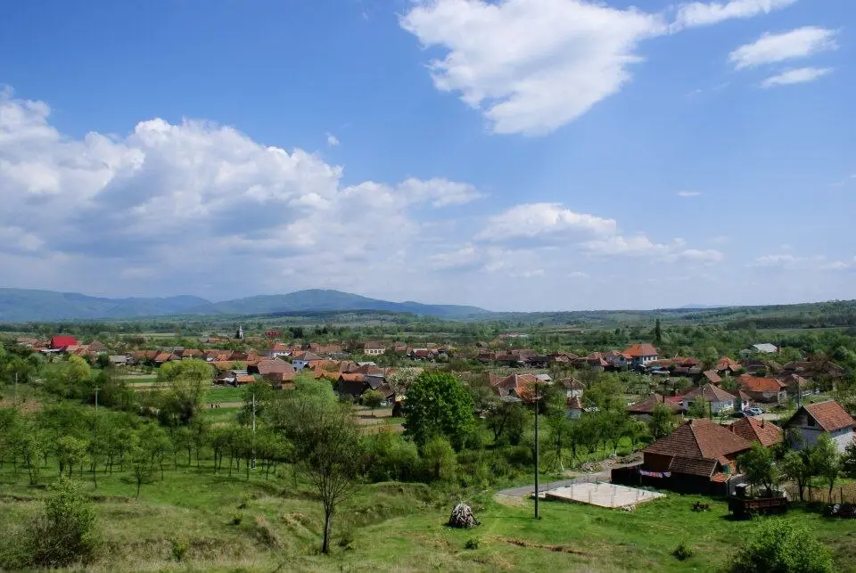 Sebiș