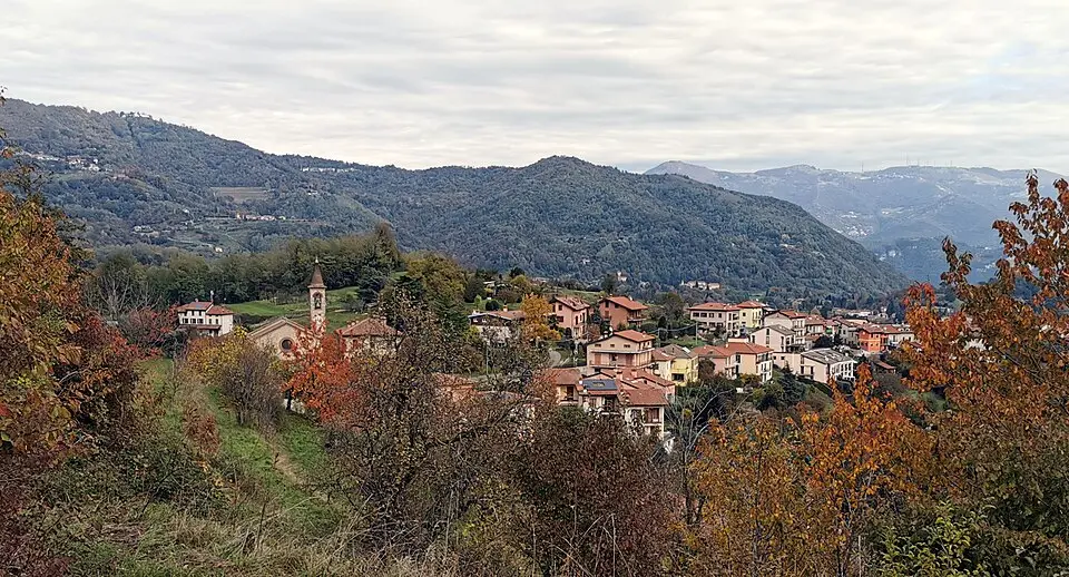 Monte