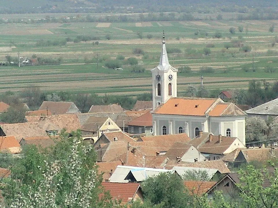 Racovița