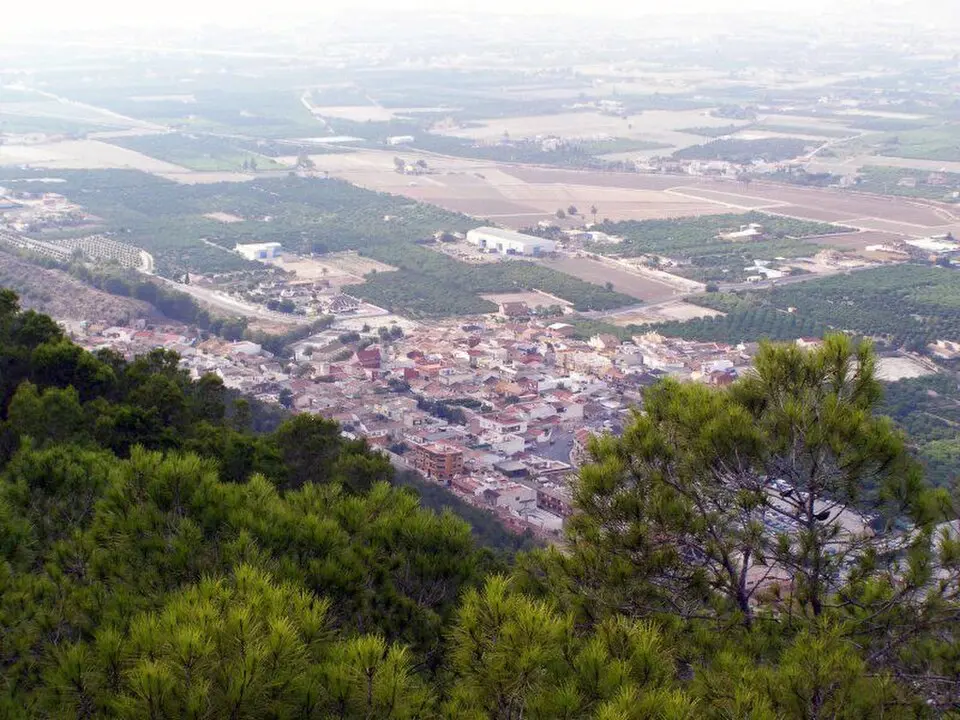 Arneva