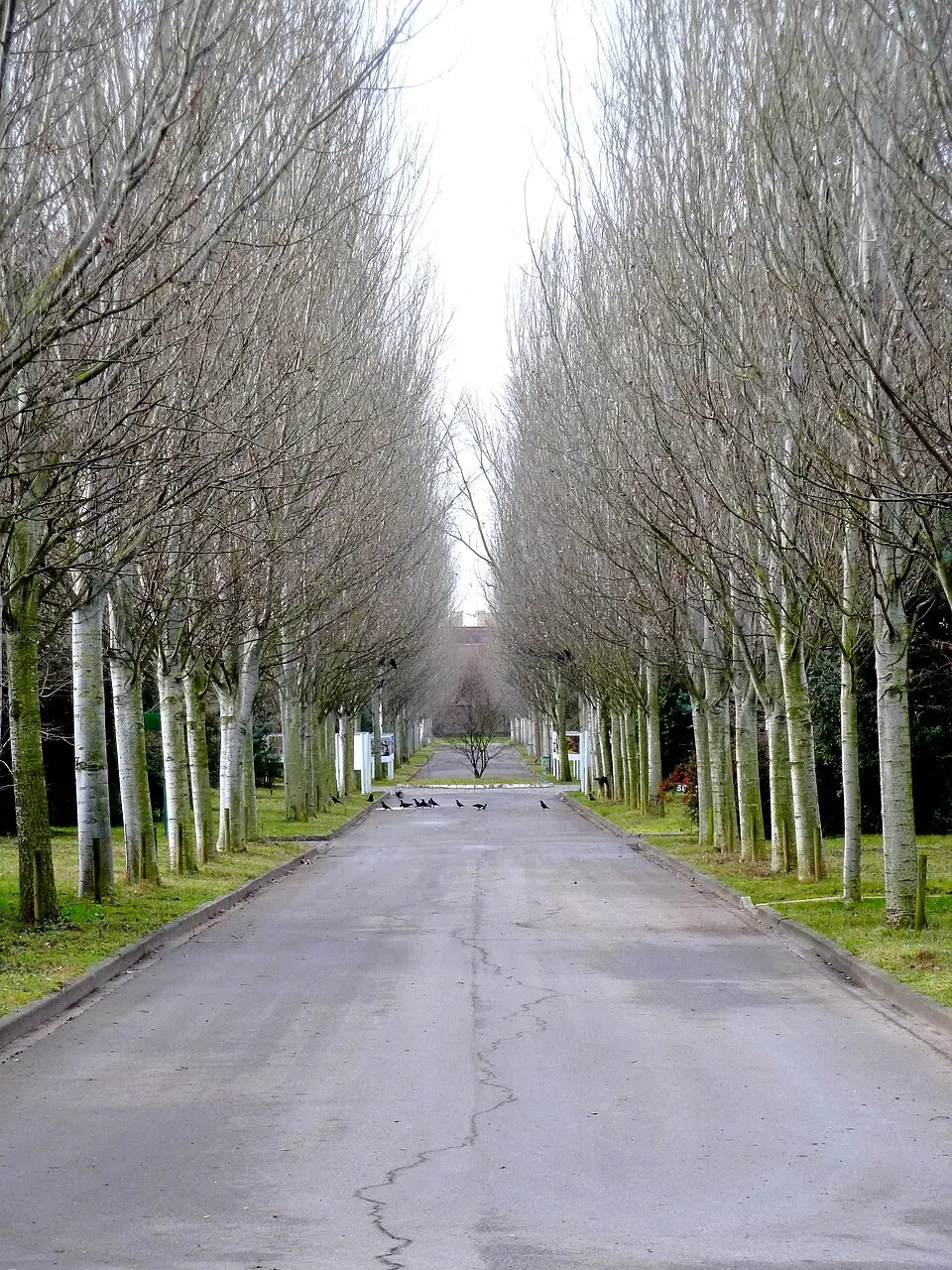 cimetière parisien de Pantin