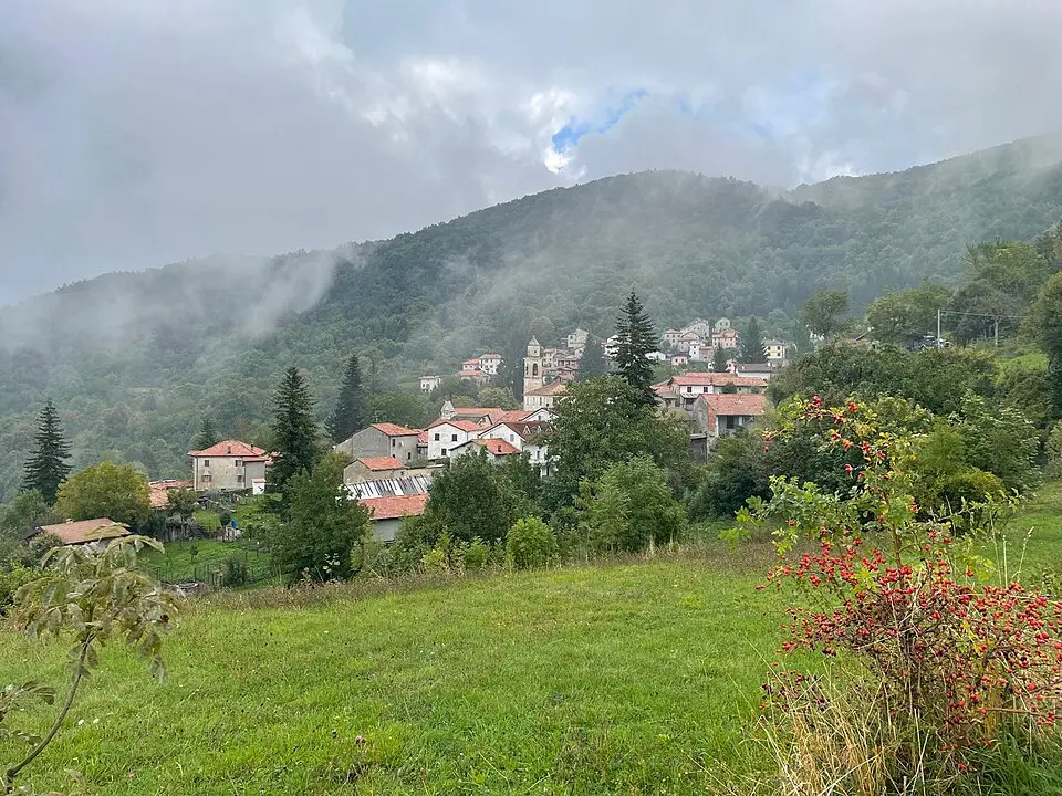 Vegni