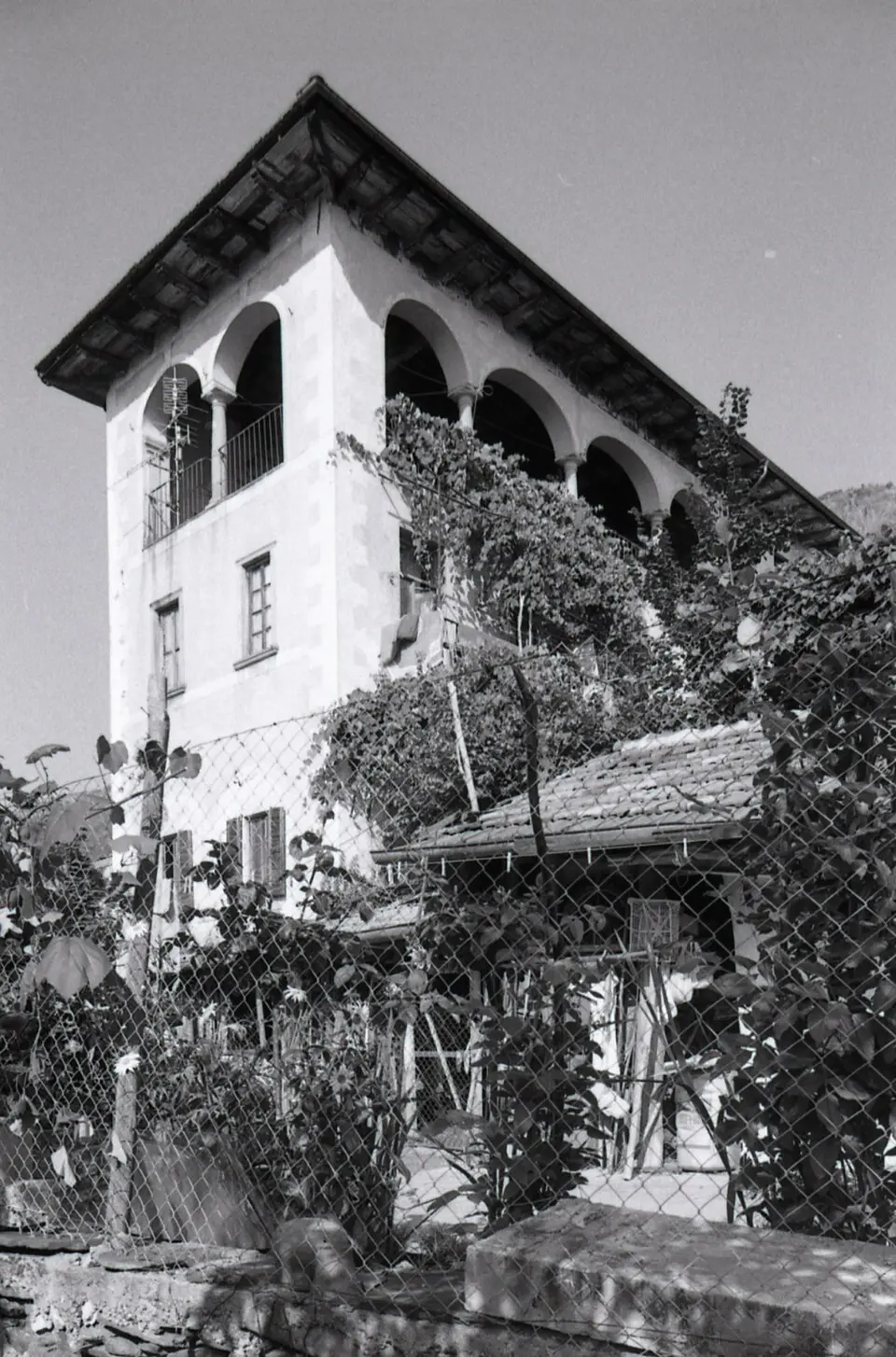 Borca
