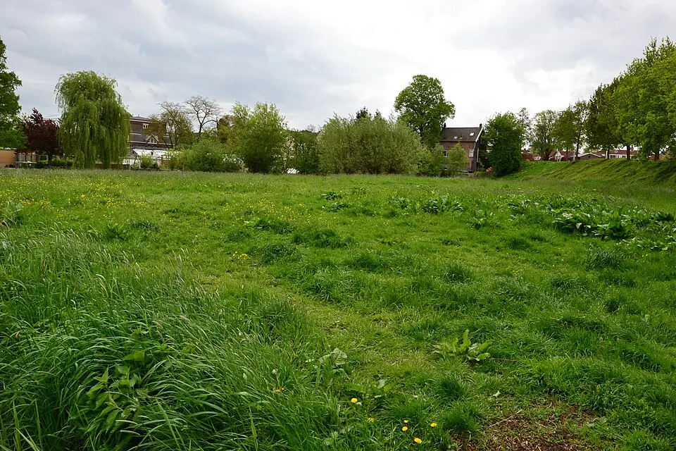 Terrein waarin een huisterp