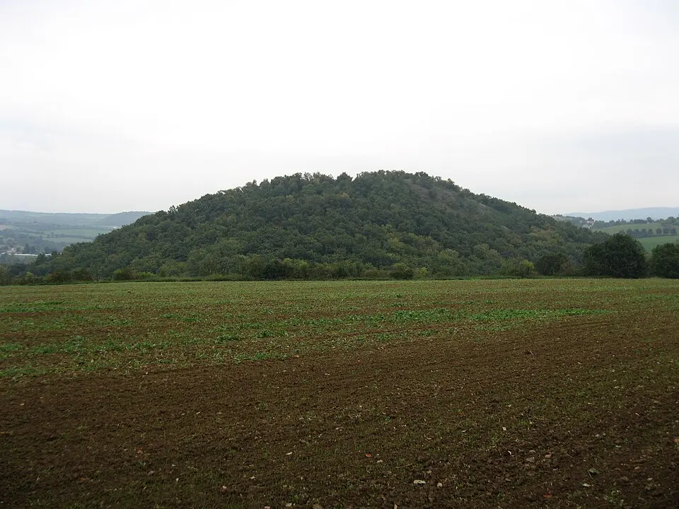 Paradies