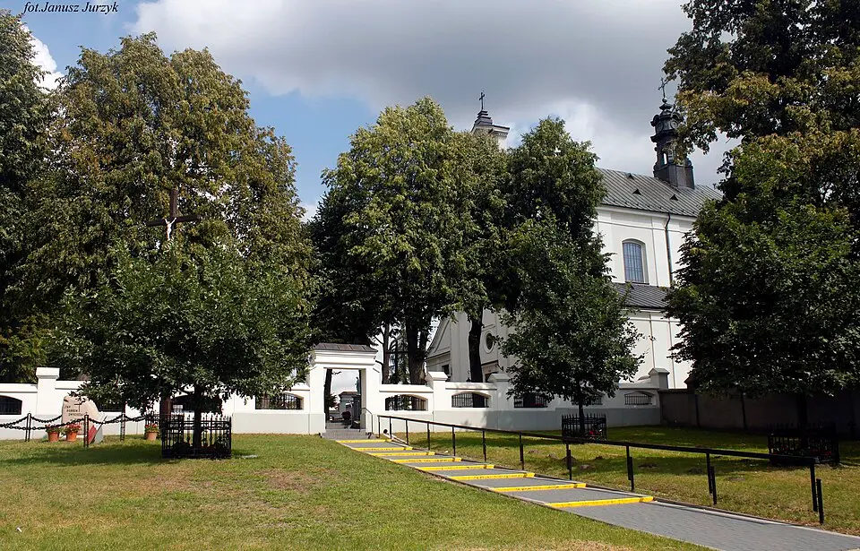 Skórzec