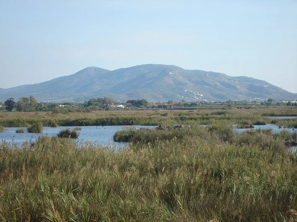 Parque natural del Prado de Cabanes-Torreblanca