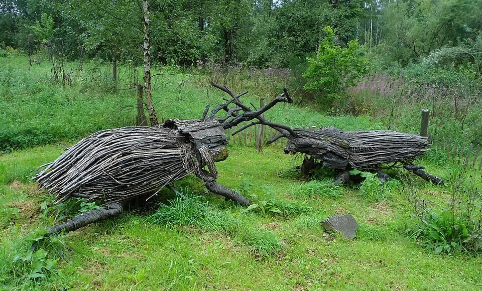 Parc Chlorophylle