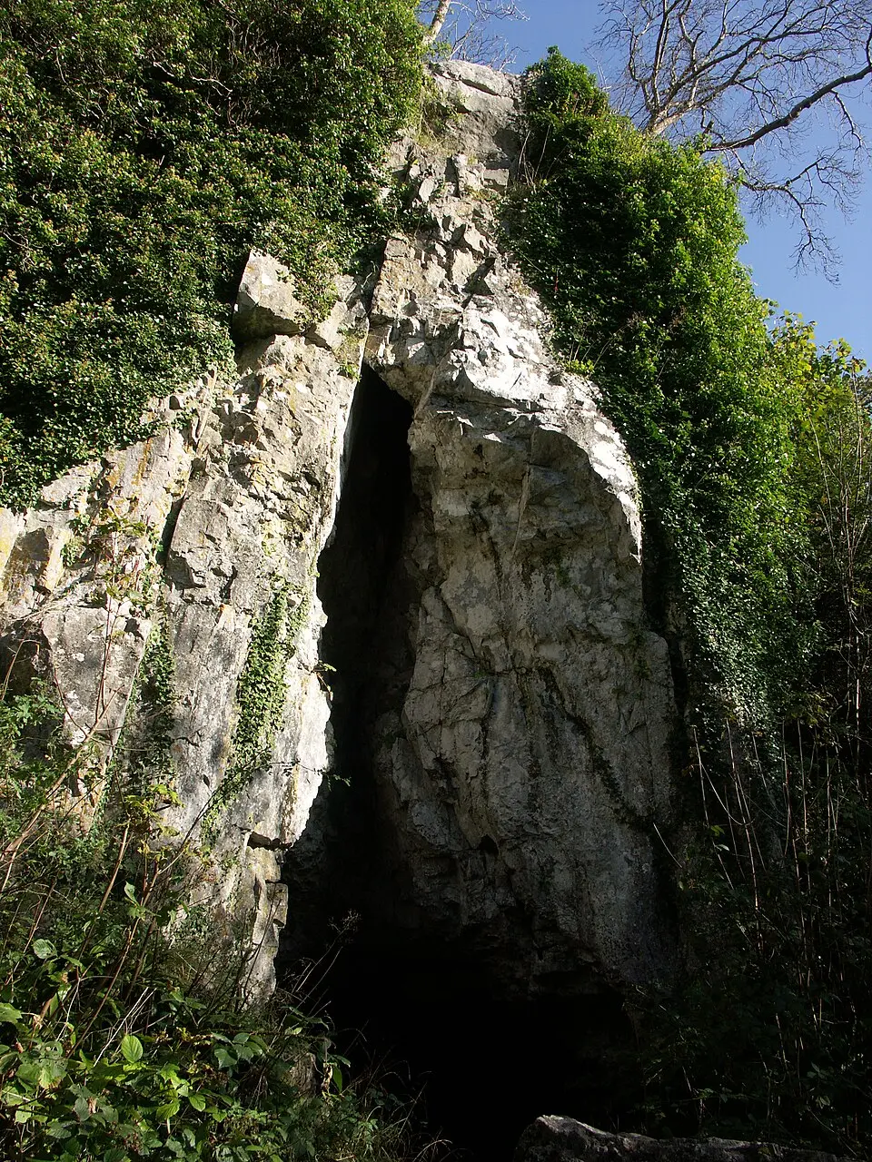 Park Cwm