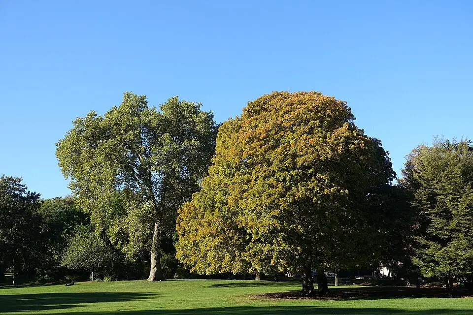 parc Montsouris