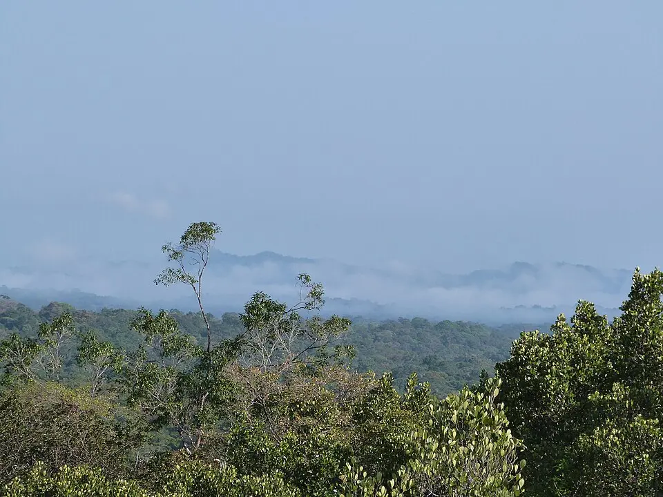 Amazonaspark von Guayana