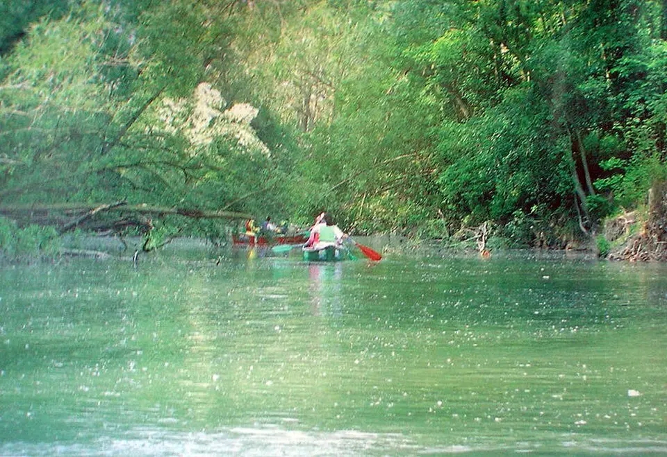 Savio River Reserve