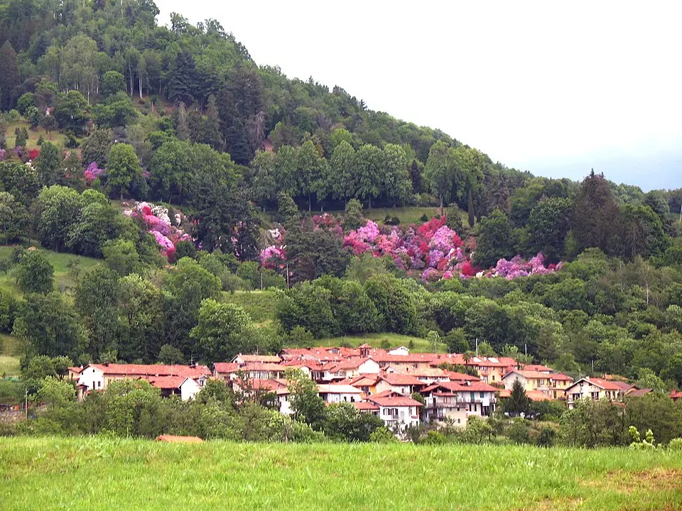 riserva naturale del Parco Burcina-Felice Piacenza