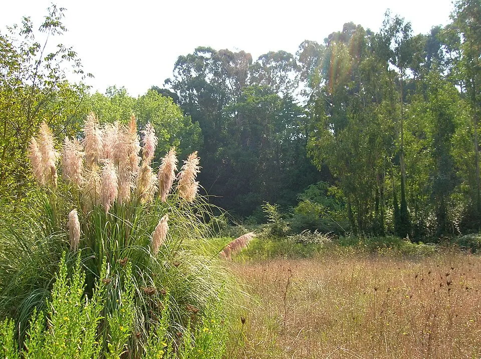 monument naturel Parco della Cellulosa