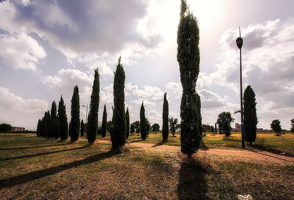 Parco archeologico di Centocelle