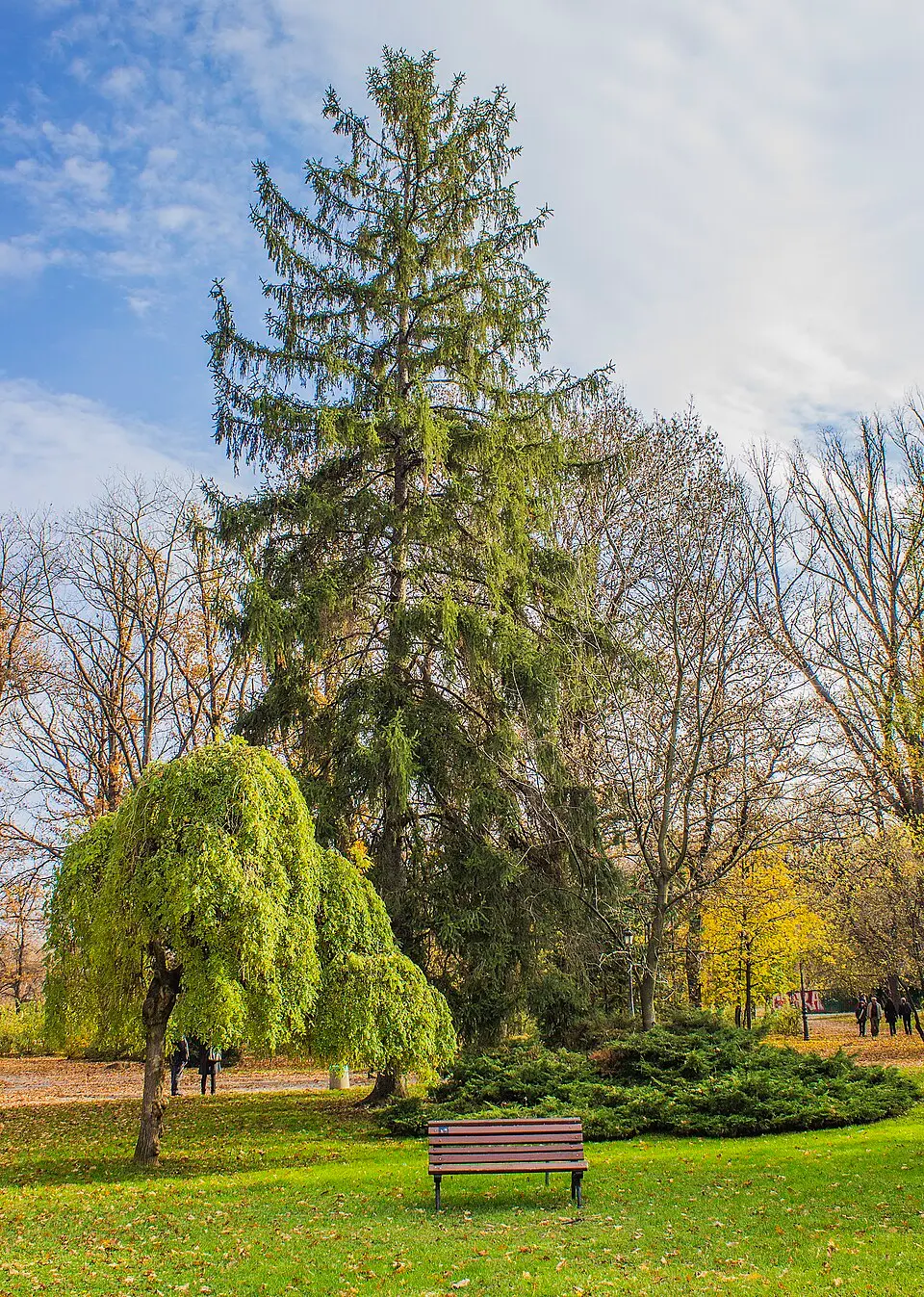 Borissowa gradina