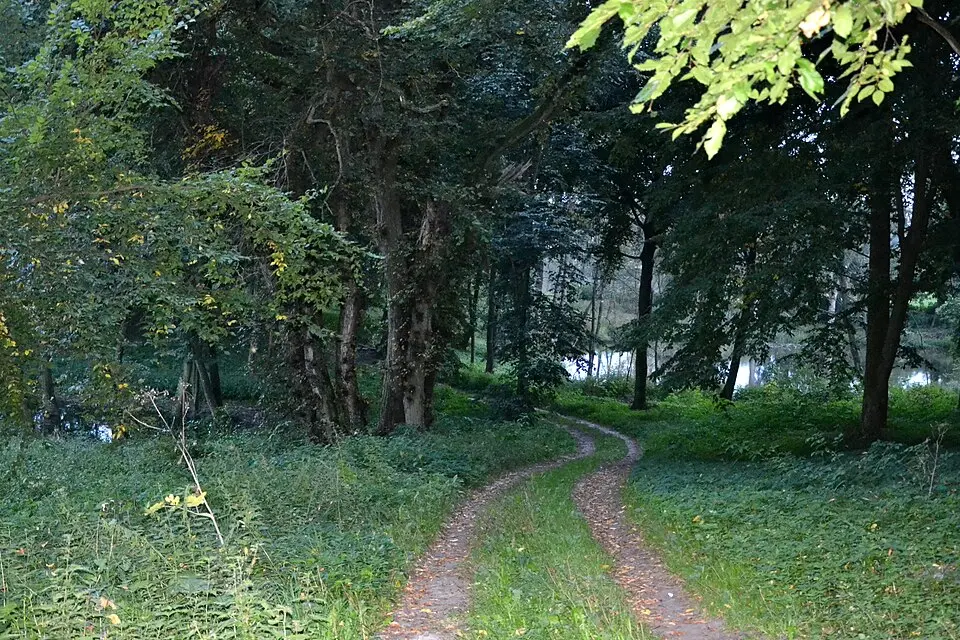 Park pałacowy
