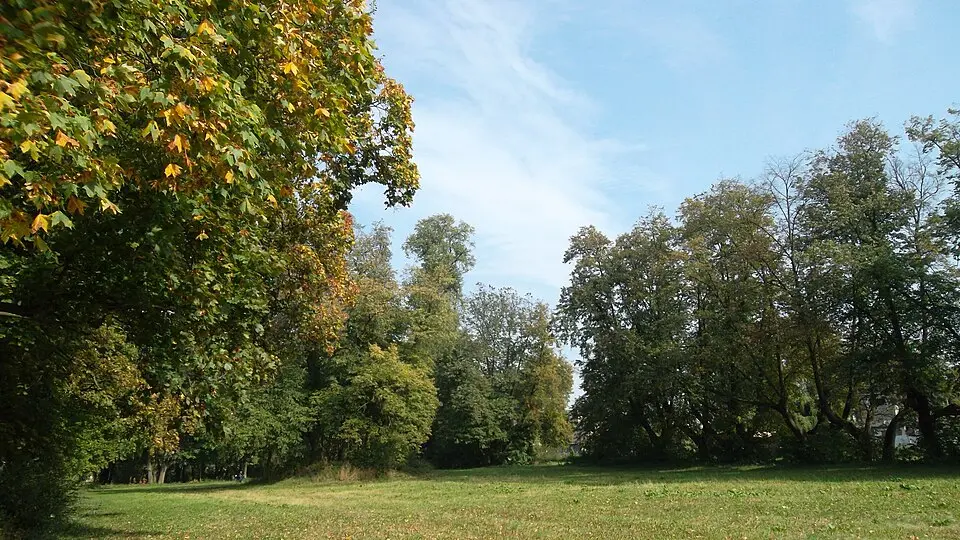 Borkowo Wielkie