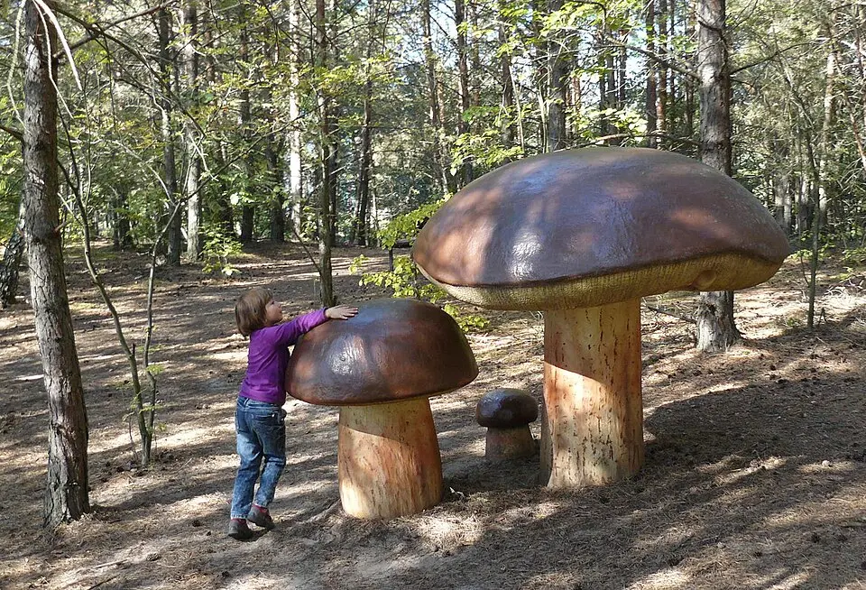 Park Grzybowy w Piłce