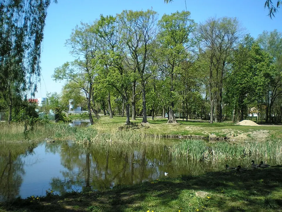 Park pałacowy