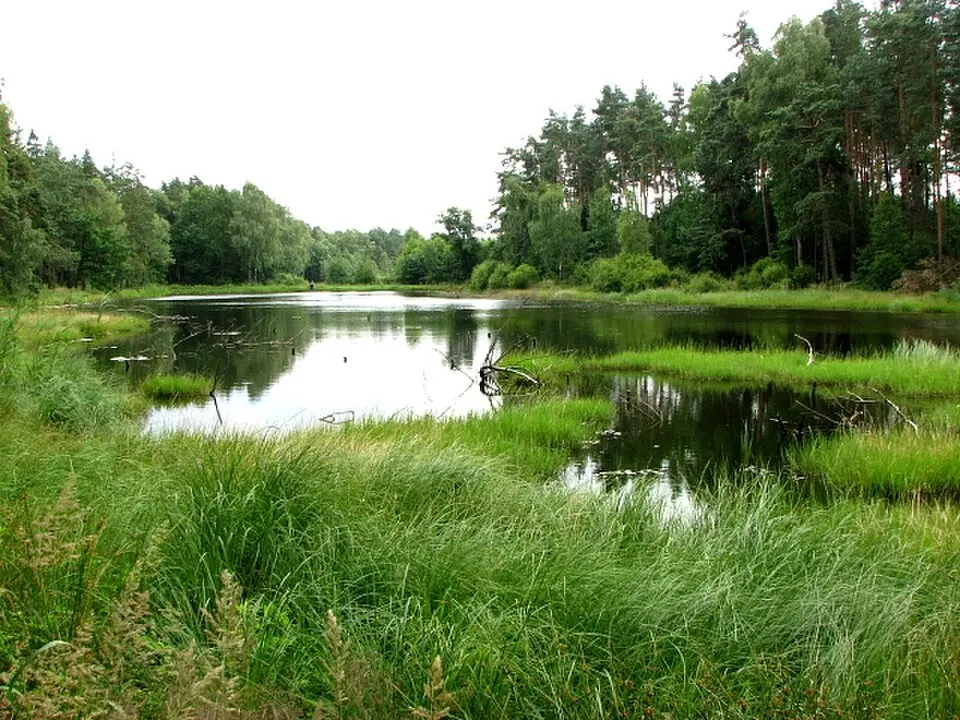 Krajinski park cistercijanske krajinske kompozicije Rud Wielkich