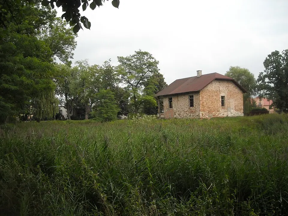 Pozostałości zespołu pałacowego