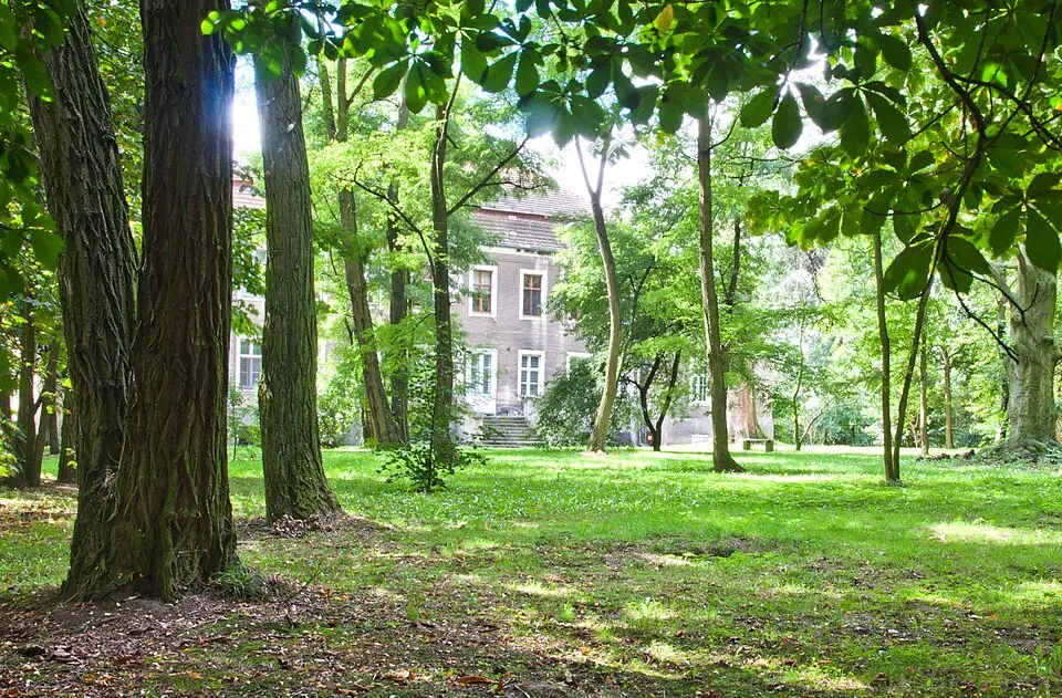 Park pałacowy