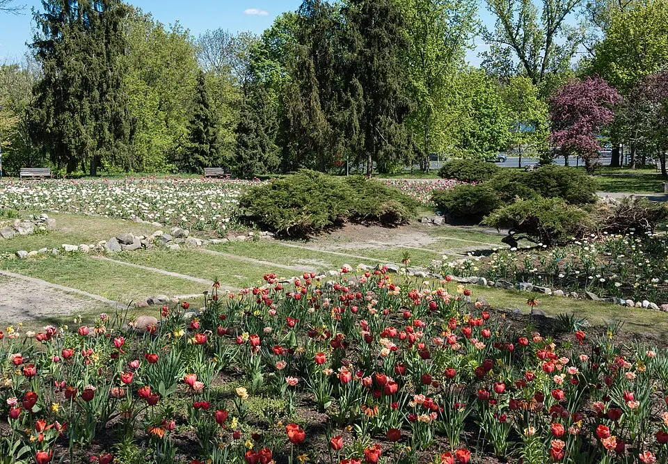 Park im. Romualda Traugutta w Warszawie