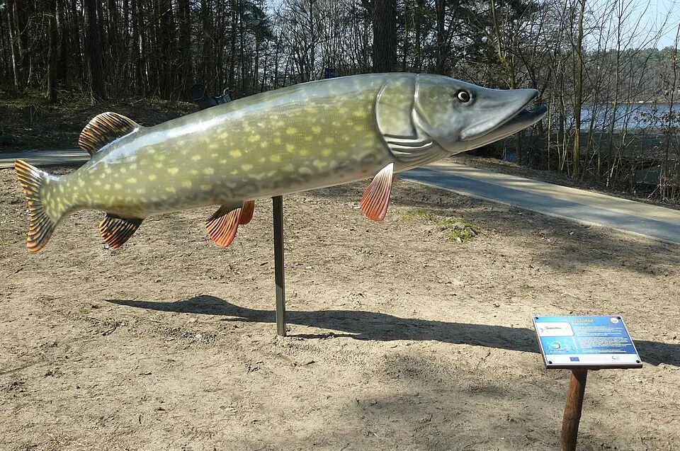 Park Ryb Słodkowodnych w Trzciance