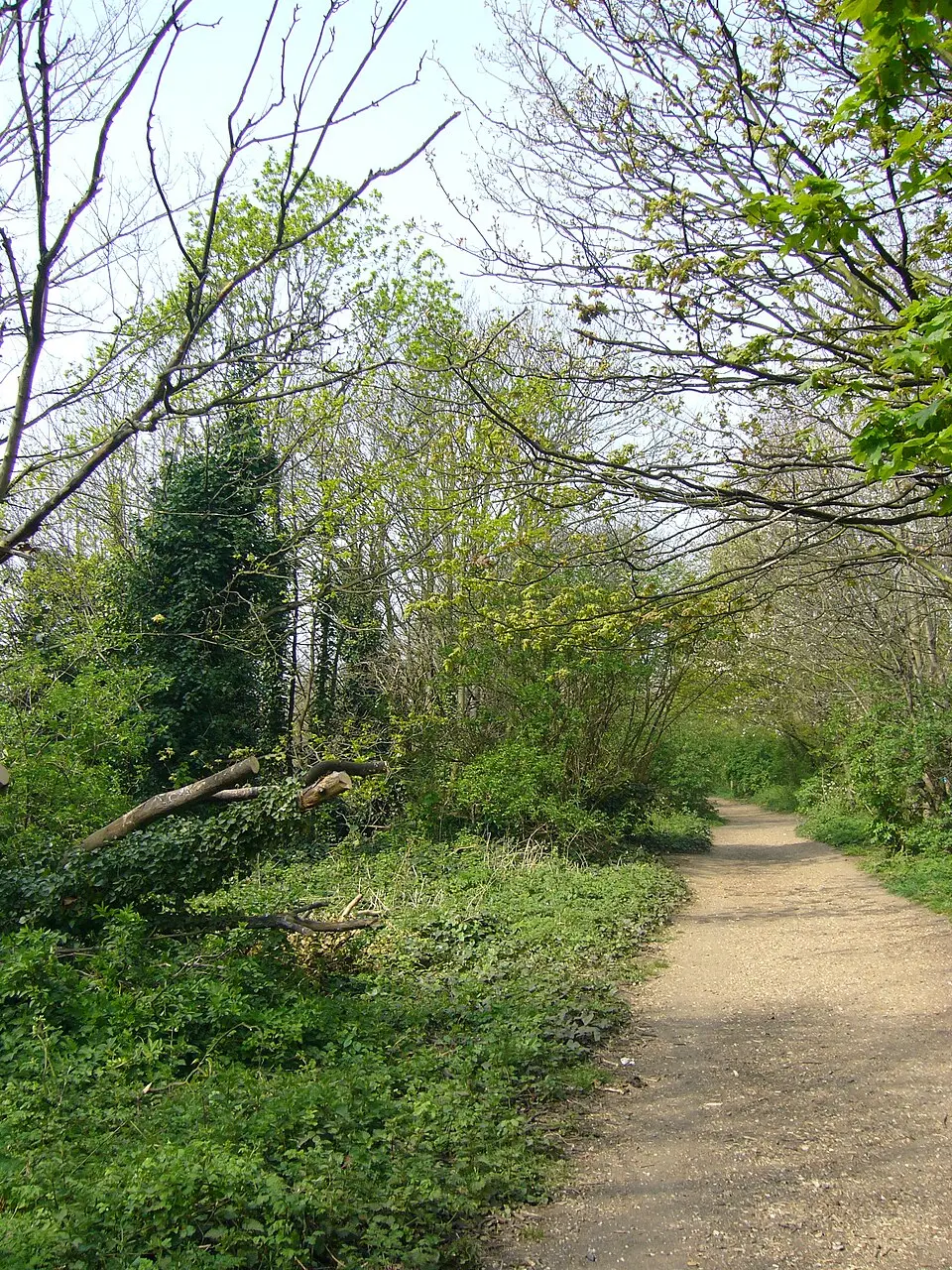 Image: Fezpp at English Wikipedia · CC BY-SA 2.5 Parkland Walk