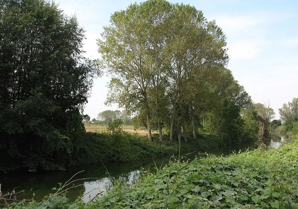 Riserva naturale orientata Parma Morta