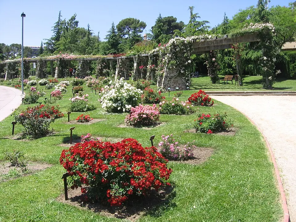 Parque de Cervantes