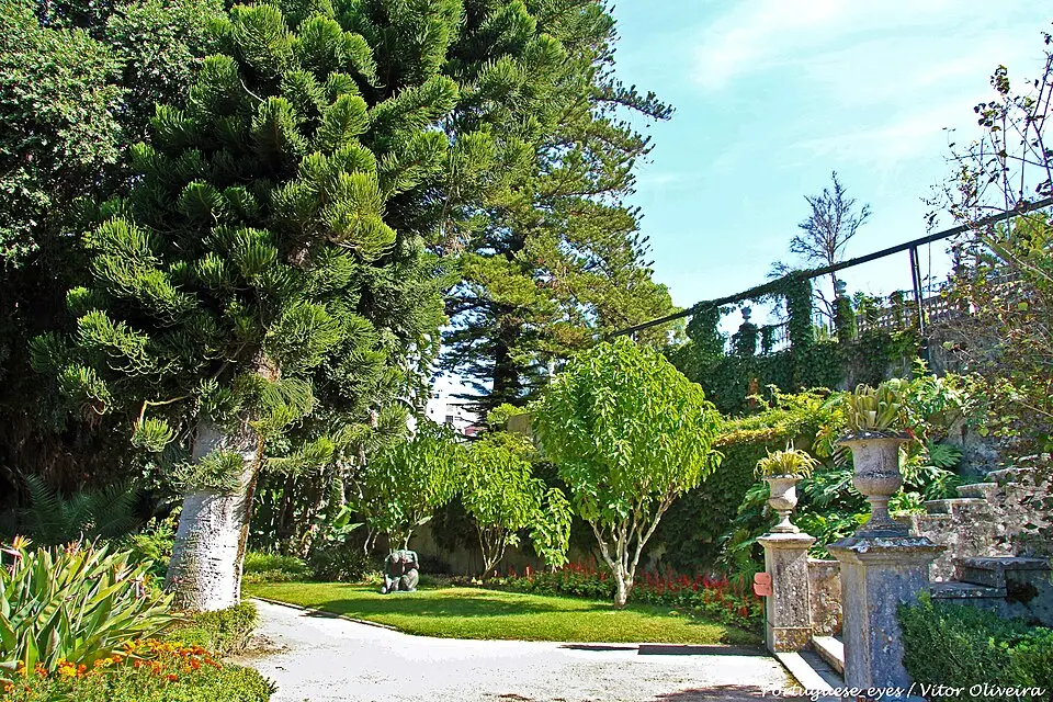 Parque do Monteiro-Mor