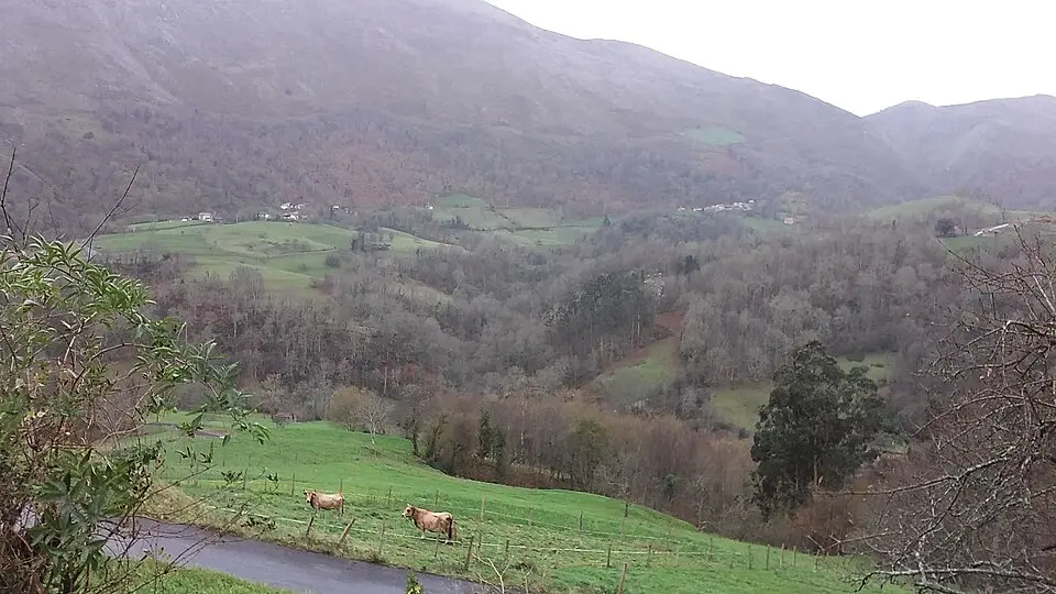 Caldueño