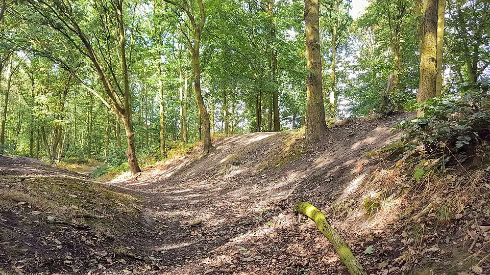 Roman Ridge: section 520yds (480m) E of Dyson's Cottage to Long Plantation