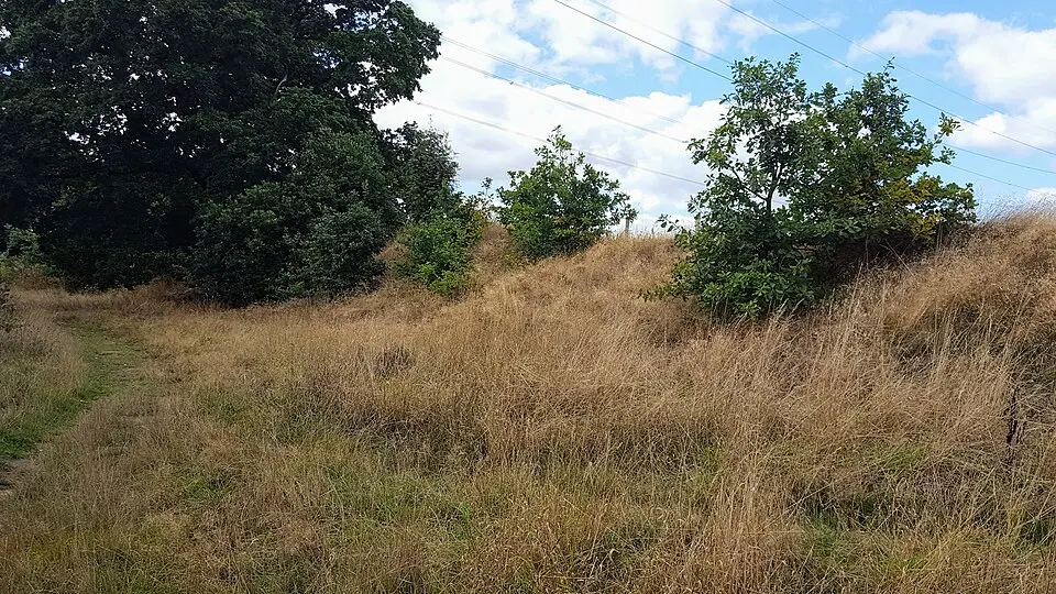 Roman Ridge: section 300yds (270m) long N of Birchwood (E of Chemical Cottages)