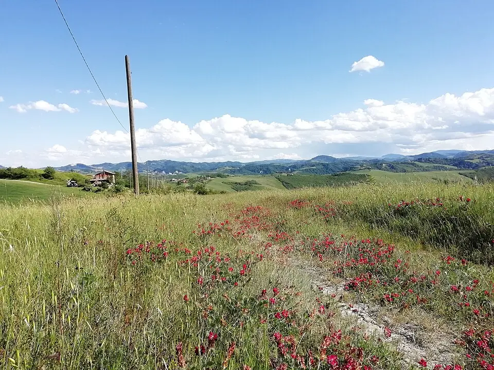 Montecalvo