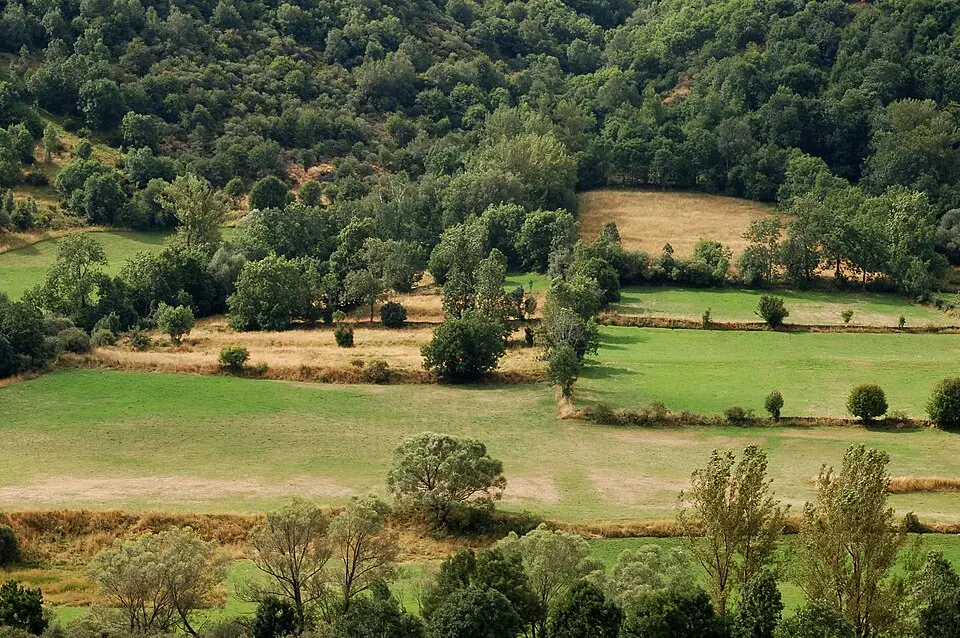Omaña